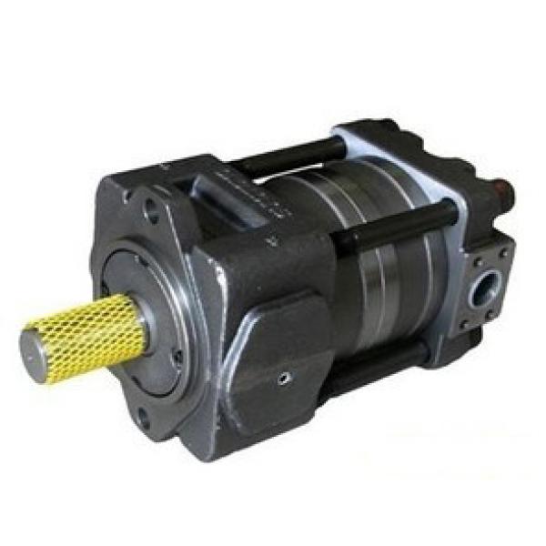 pump QT23 Series Gear Pump QT23-5-A #1 image